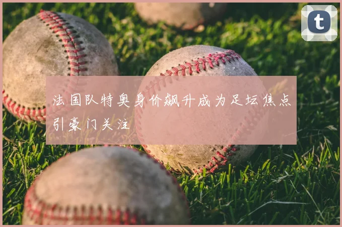 法国队特奥身价飙升成为足坛焦点引豪门关注