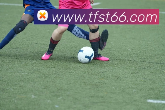 kaiyun官方入口平台生态图